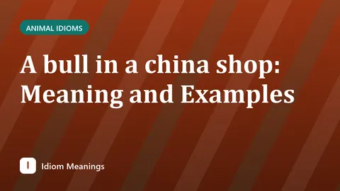 A bull in a china shop: Meaning and Examples