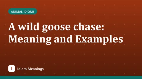 A wild goose chase: Meaning and Examples