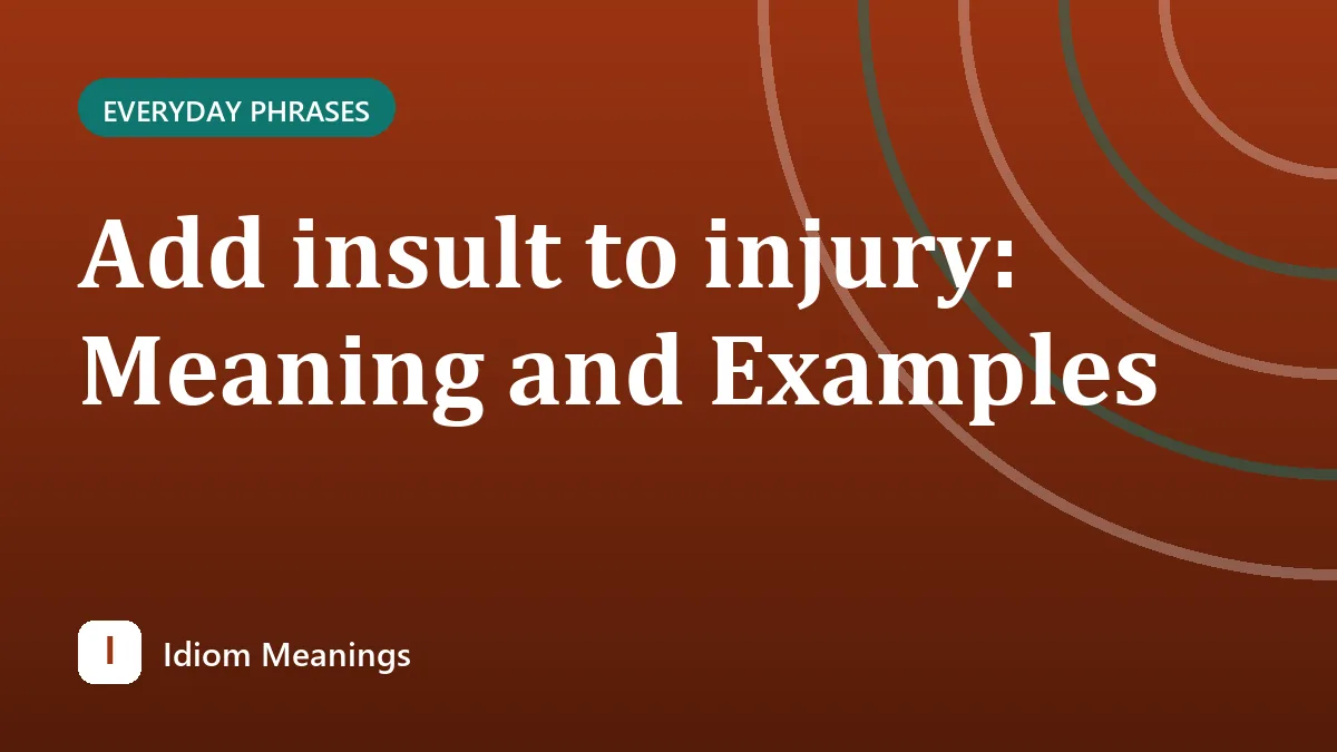 Add insult to injury: Meaning and Examples