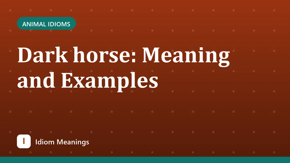 Dark horse: Meaning and Examples