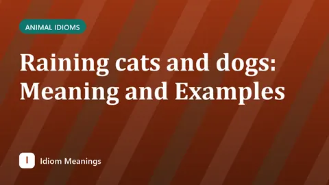 Raining cats and dogs: Meaning and Examples