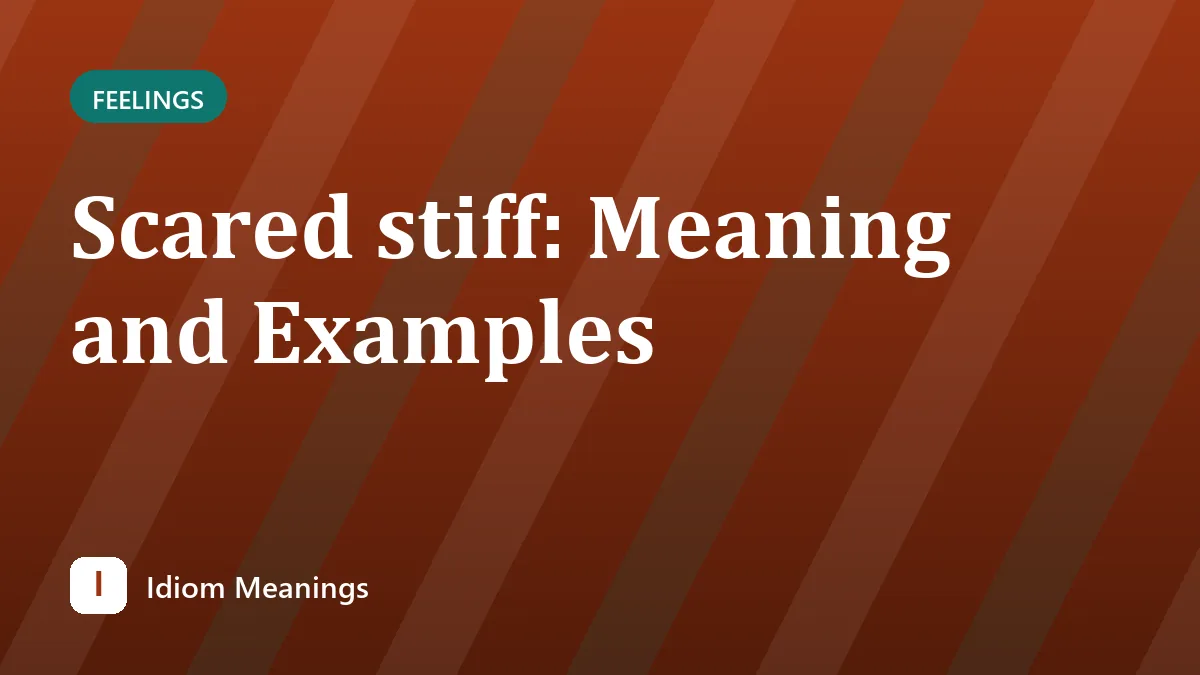 Scared stiff: Meaning and Examples