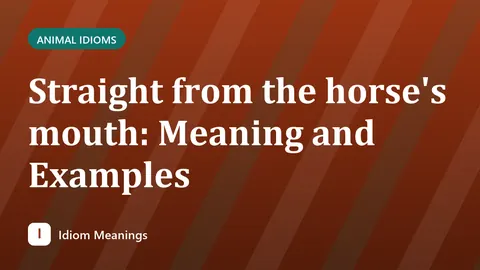 Straight from the horse's mouth: Meaning and Examples