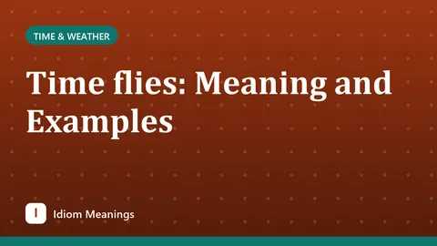 Time flies: Meaning and Examples
